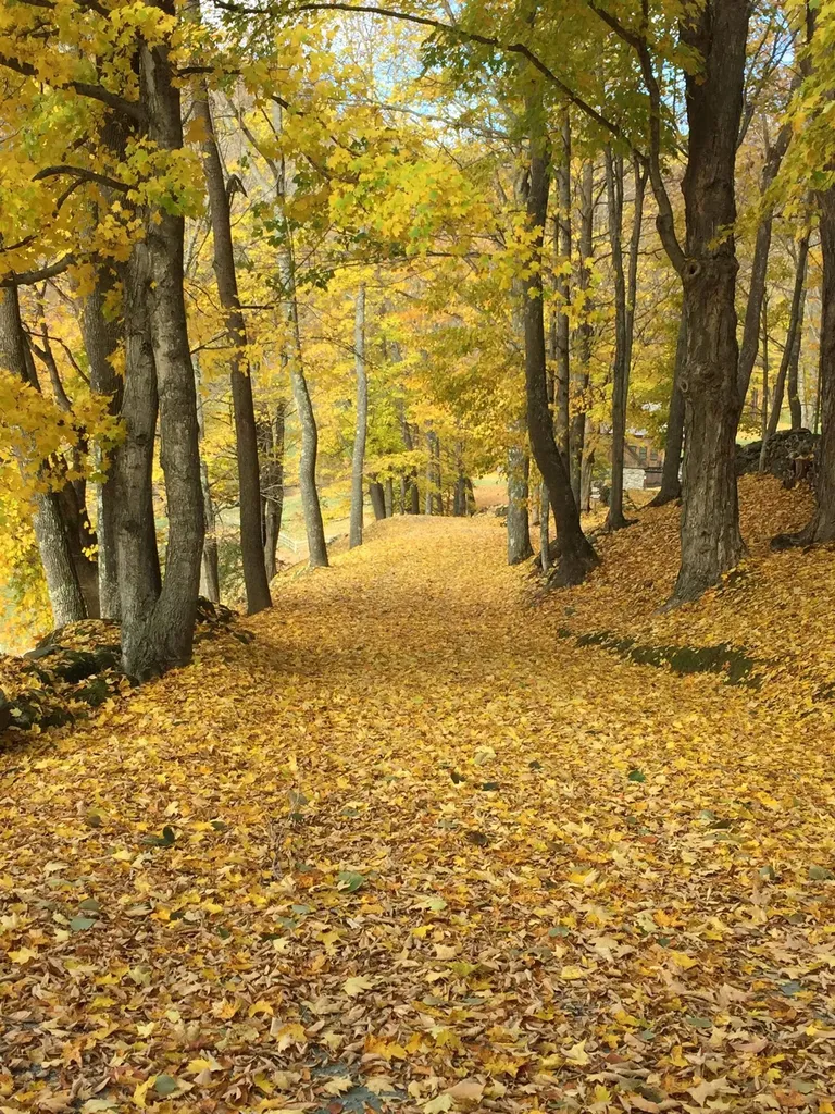 37 Maxham Road Pomfret VT 05067