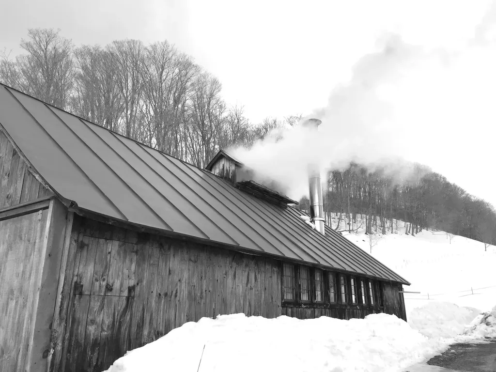 37 Maxham Road Pomfret VT 05067