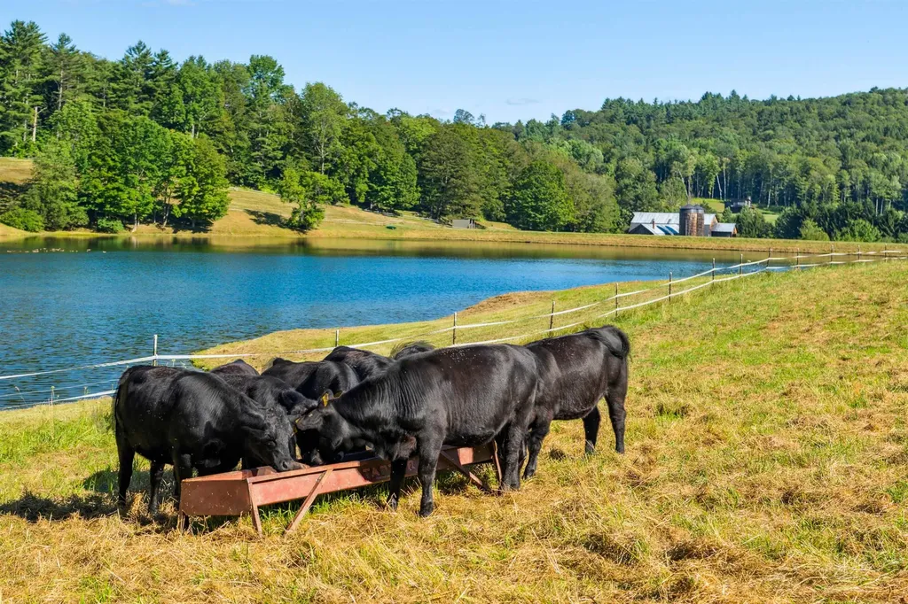 37 Maxham Road Pomfret VT 05067