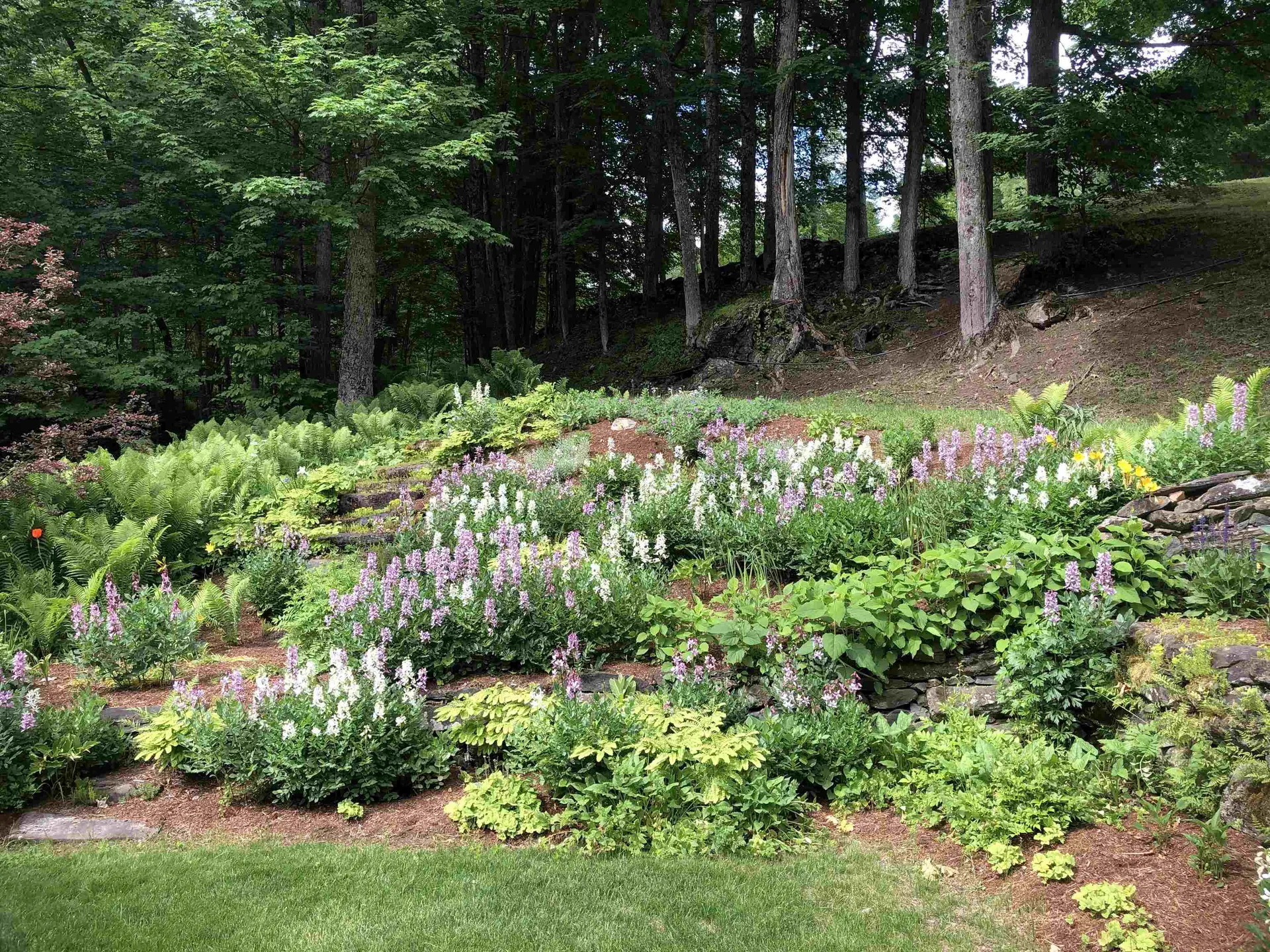 37 Maxham Road Pomfret VT 05067