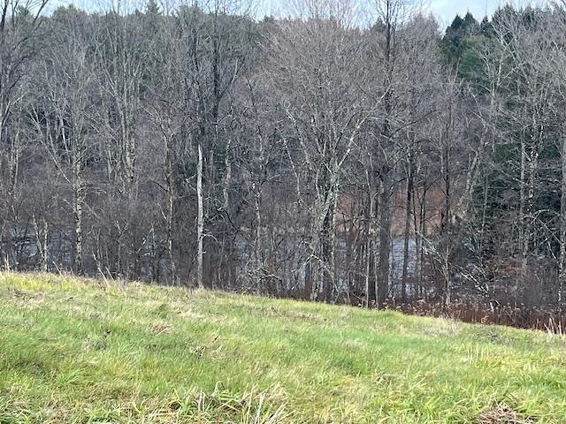 469D Mcnall Road Fairfax VT 05454