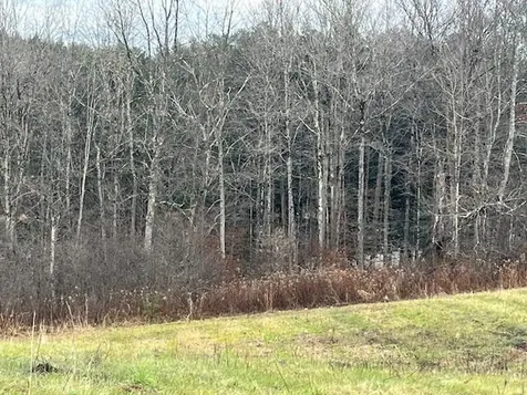 469D Mcnall Road Fairfax VT 05454