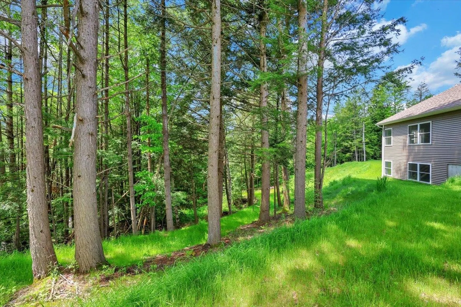 49 Hemlock Circle Jericho VT 05465