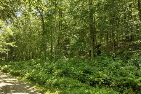 410-46 Hannah Road Sandwich NH 03227