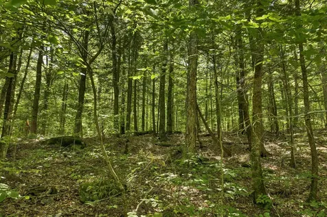 410-46 Hannah Road Sandwich NH 03227