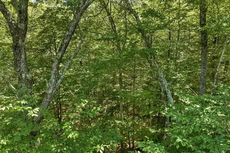 410-46 Hannah Road Sandwich NH 03227