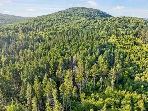Lot 7 Fred Brooks Road Pittsburg NH 03592