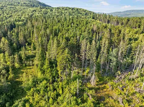 Lot 7 Fred Brooks Road Pittsburg NH 03592