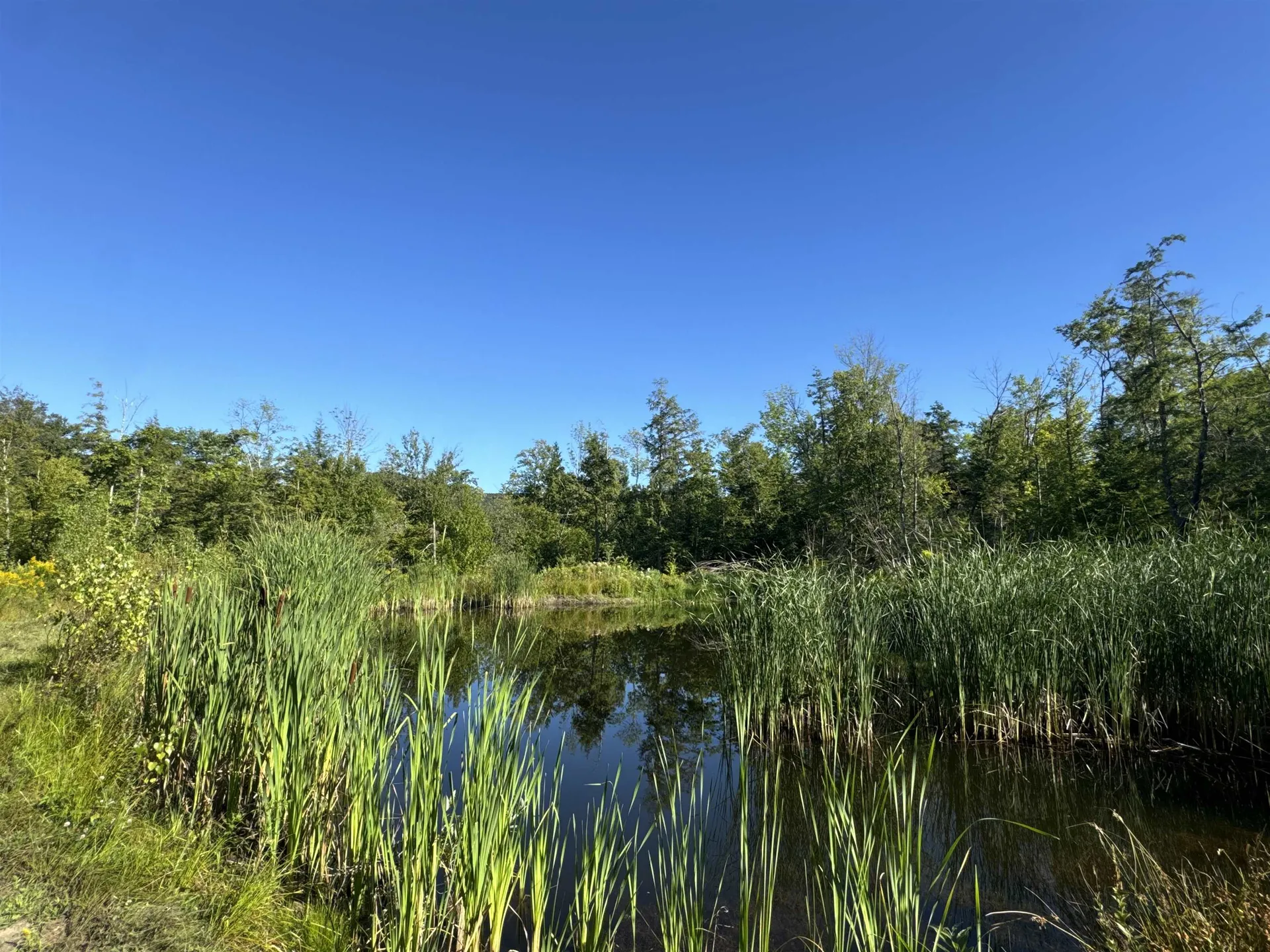 486 Wightman Hill Road Richford VT 05476