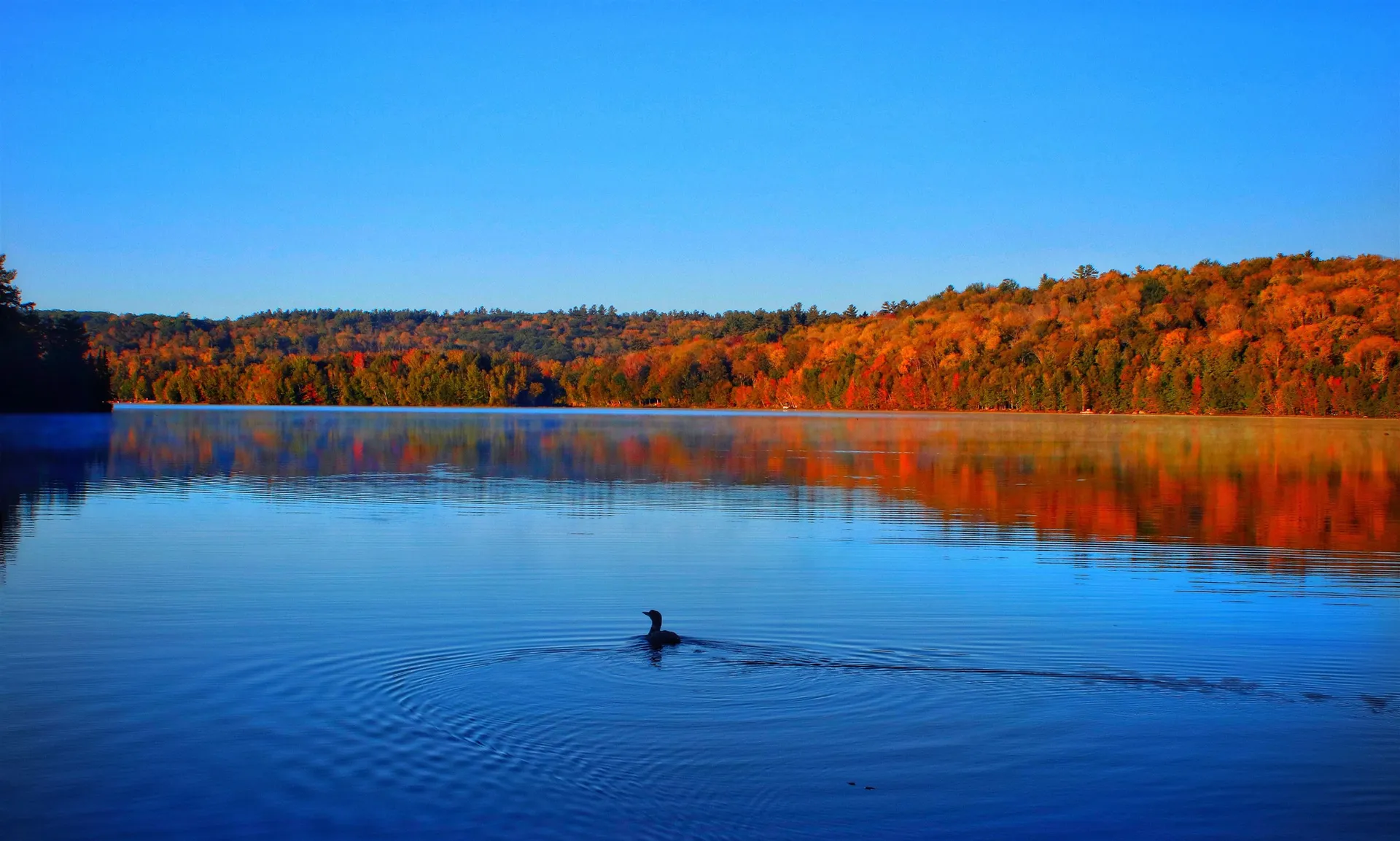 50 Longwood Drive Grantham NH 03753