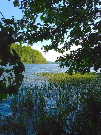 50 Longwood Drive Grantham NH 03753