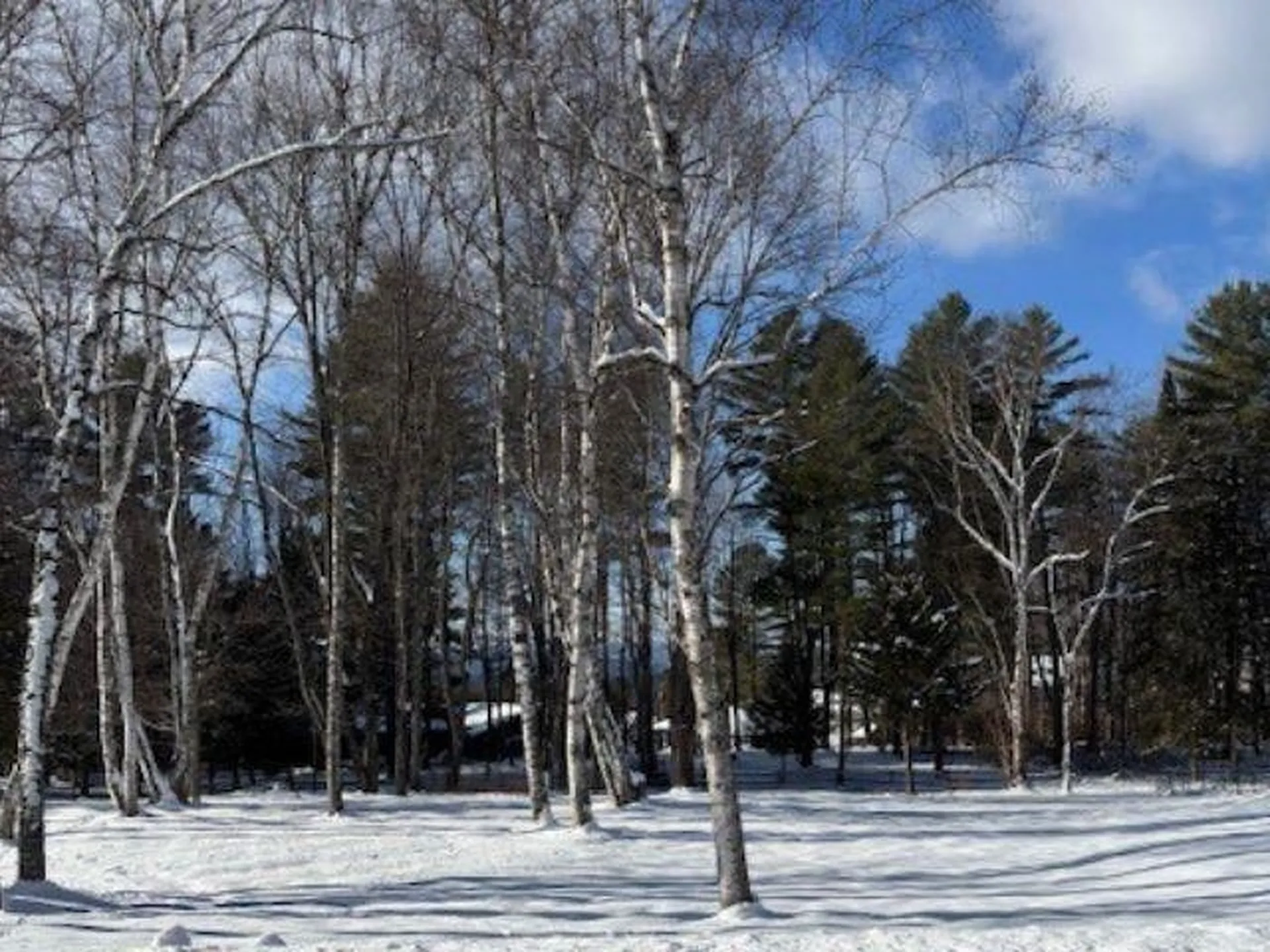 0 Westwood Drive Montpelier VT 05602