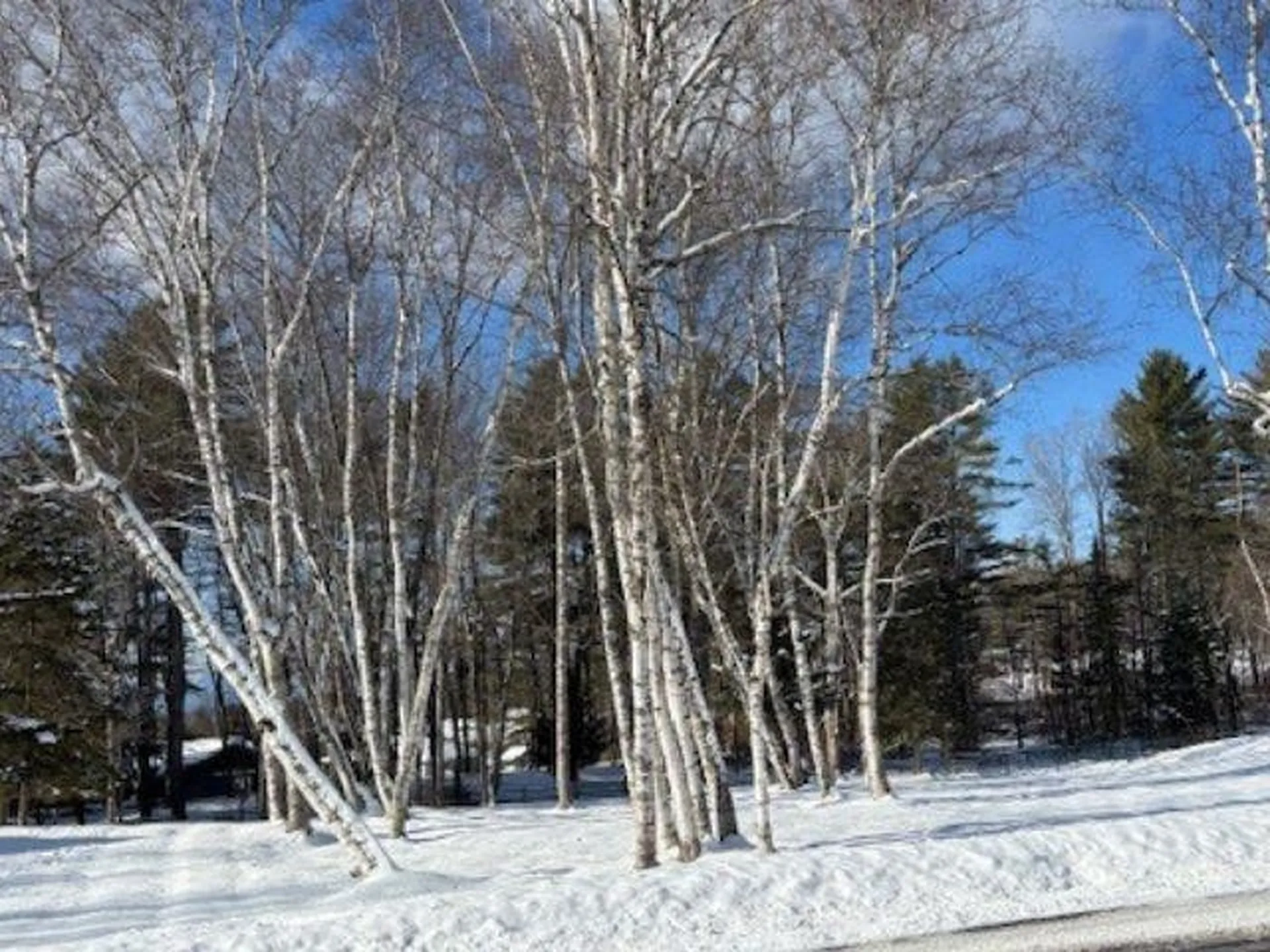 0 Westwood Drive Montpelier VT 05602