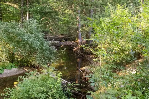 17 Whitehouse Farm Lane Moultonborough NH 03254