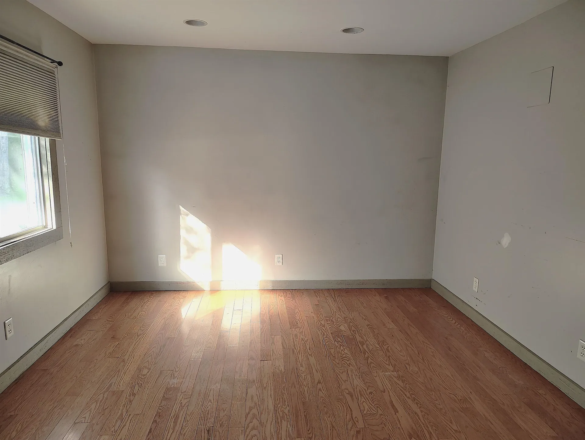 9 Kelly Lane Rumney NH 03223