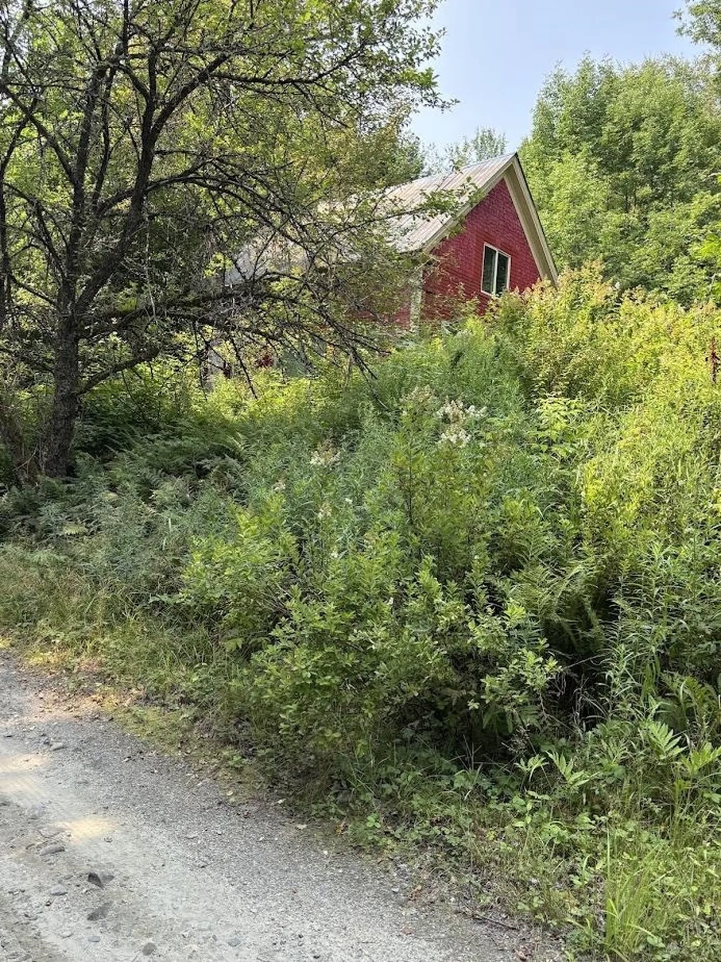 2362 Pond Hill Road Lunenburg VT 05906-0092