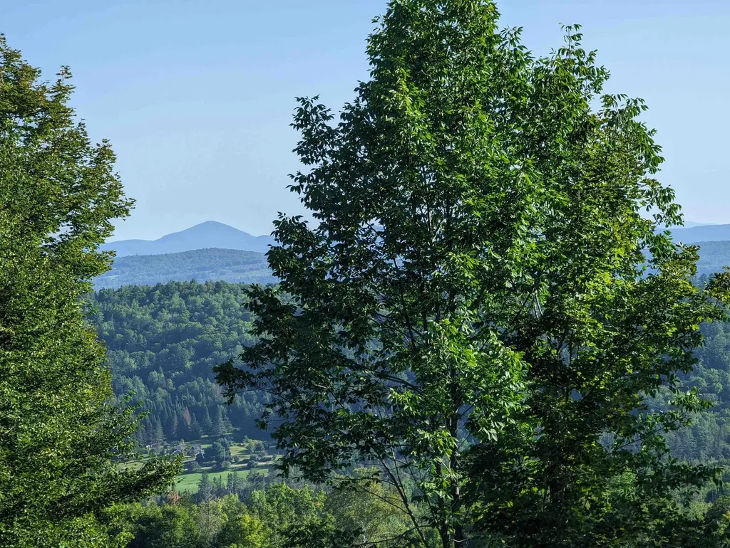 Lot 4 Derricks Lane Wheelock VT 05851