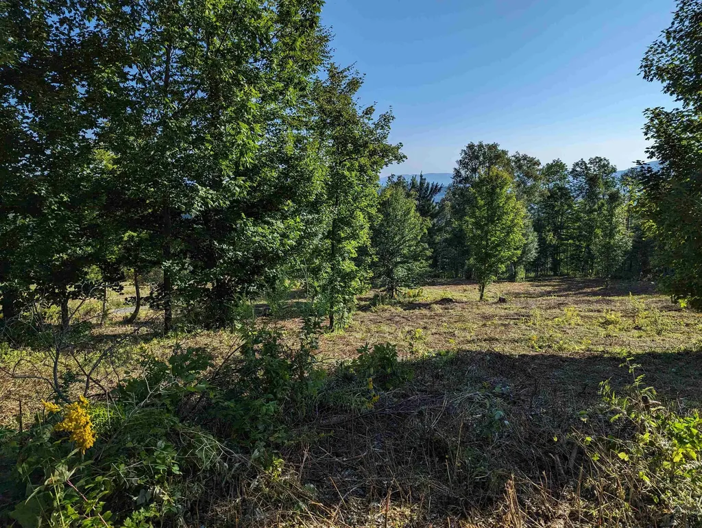 Lot 4 Derricks Lane Wheelock VT 05851