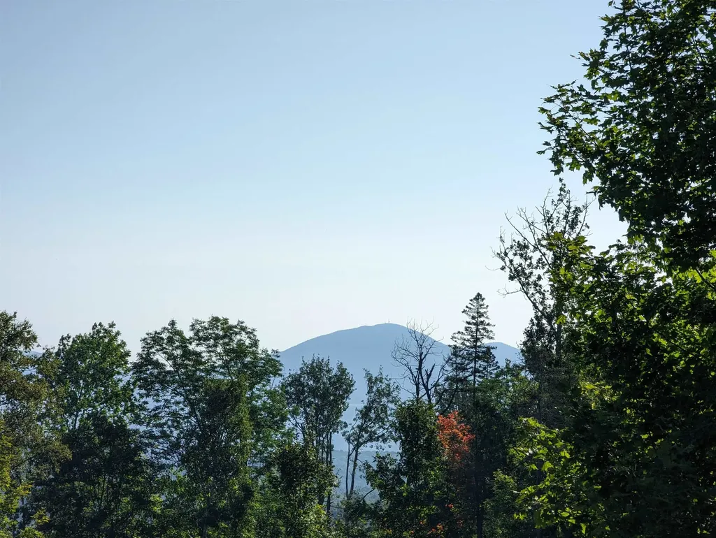 Lot 4 Derricks Lane Wheelock VT 05851