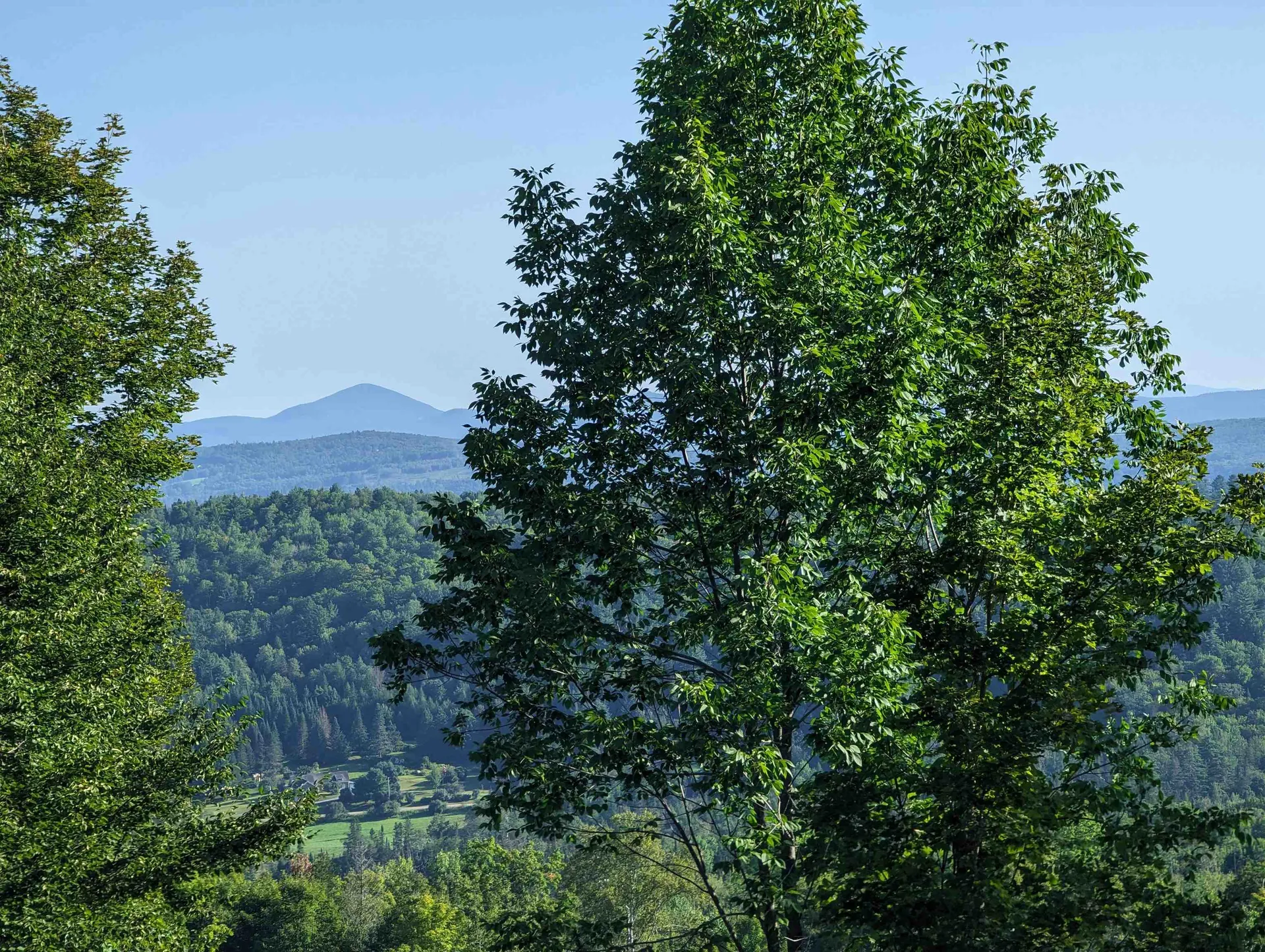 Lot 4 Derricks Lane Wheelock VT 05851