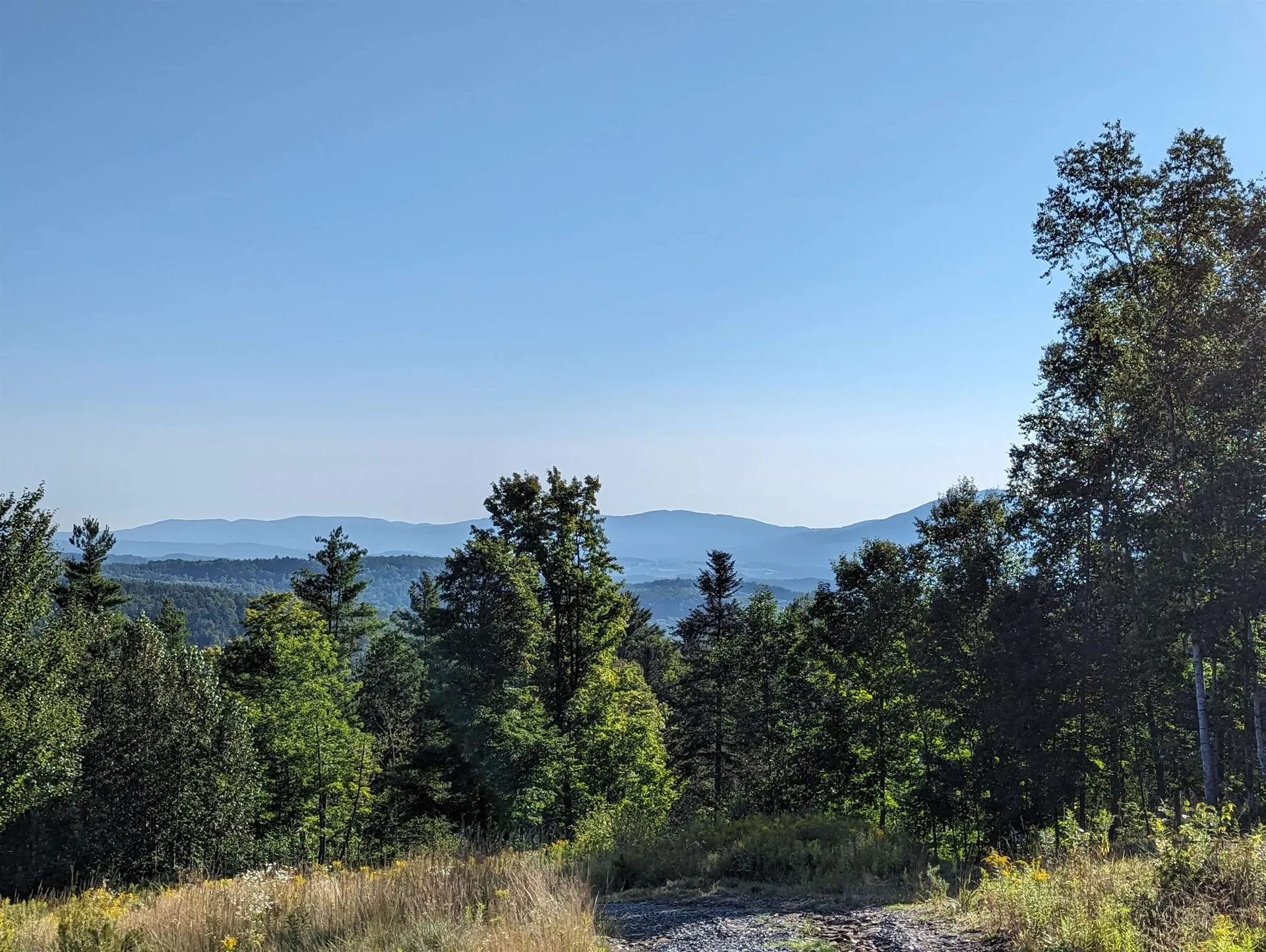 Lot 4 Derricks Lane Wheelock VT 05851