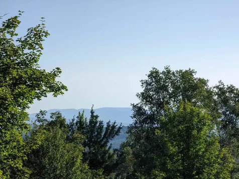 Lot 4 Derricks Lane Wheelock VT 05851