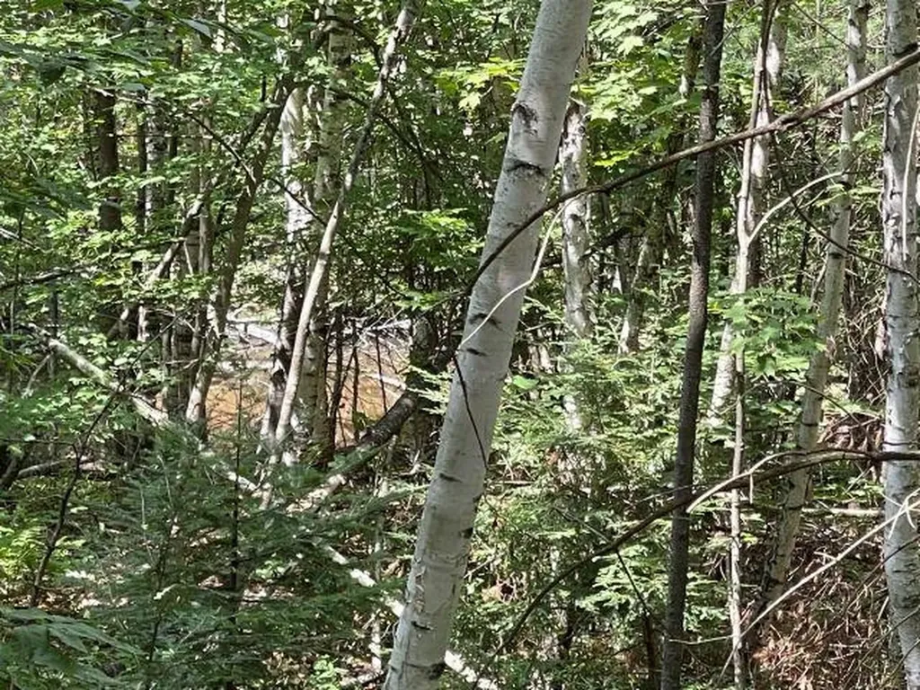 M7/L28 Stowe Mountain Road Hillsborough NH 03244