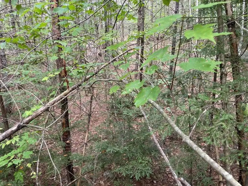 M7/L28 Stowe Mountain Road Hillsborough NH 03244