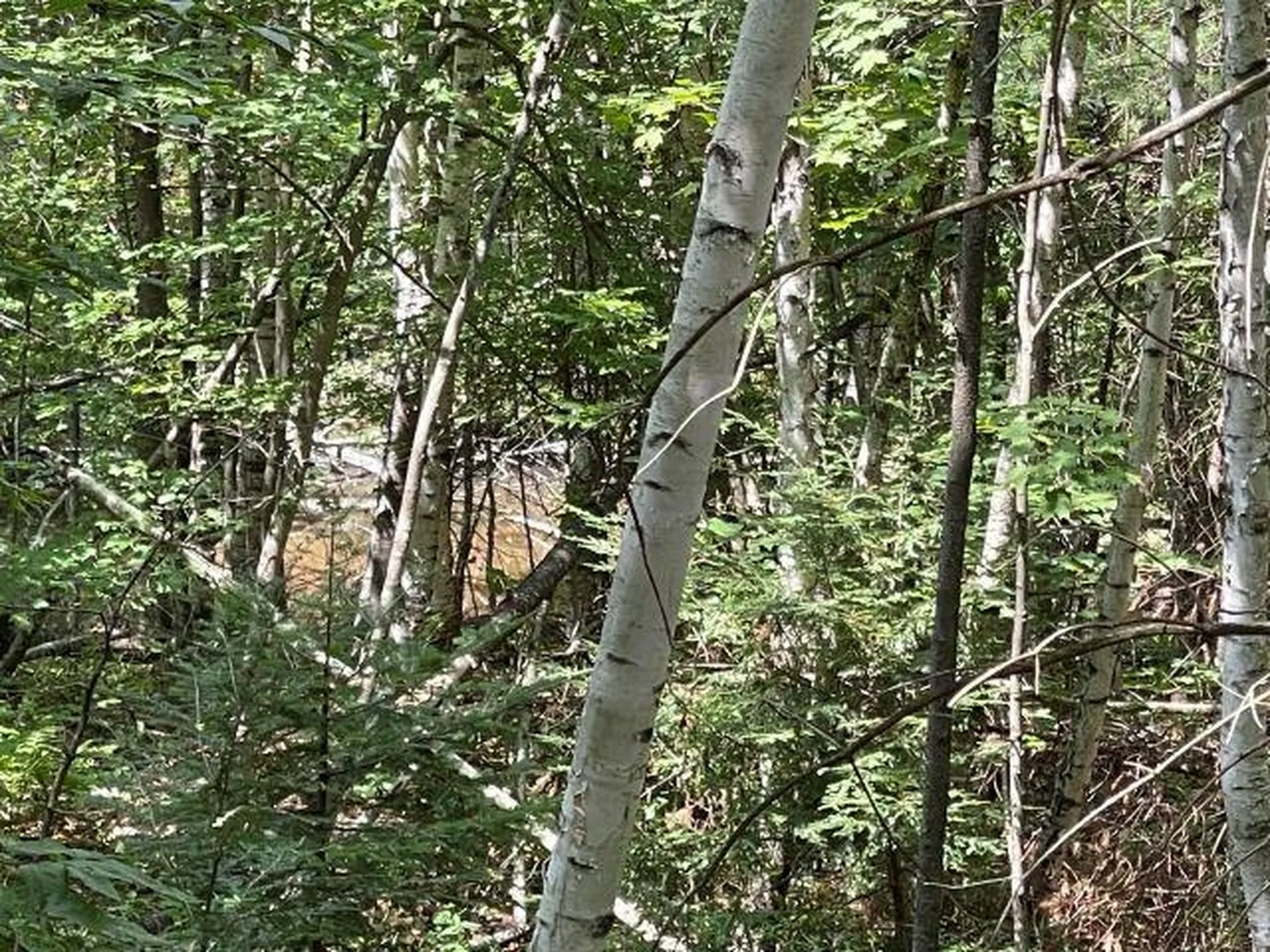 M7/L28 Stowe Mountain Road Hillsborough NH 03244