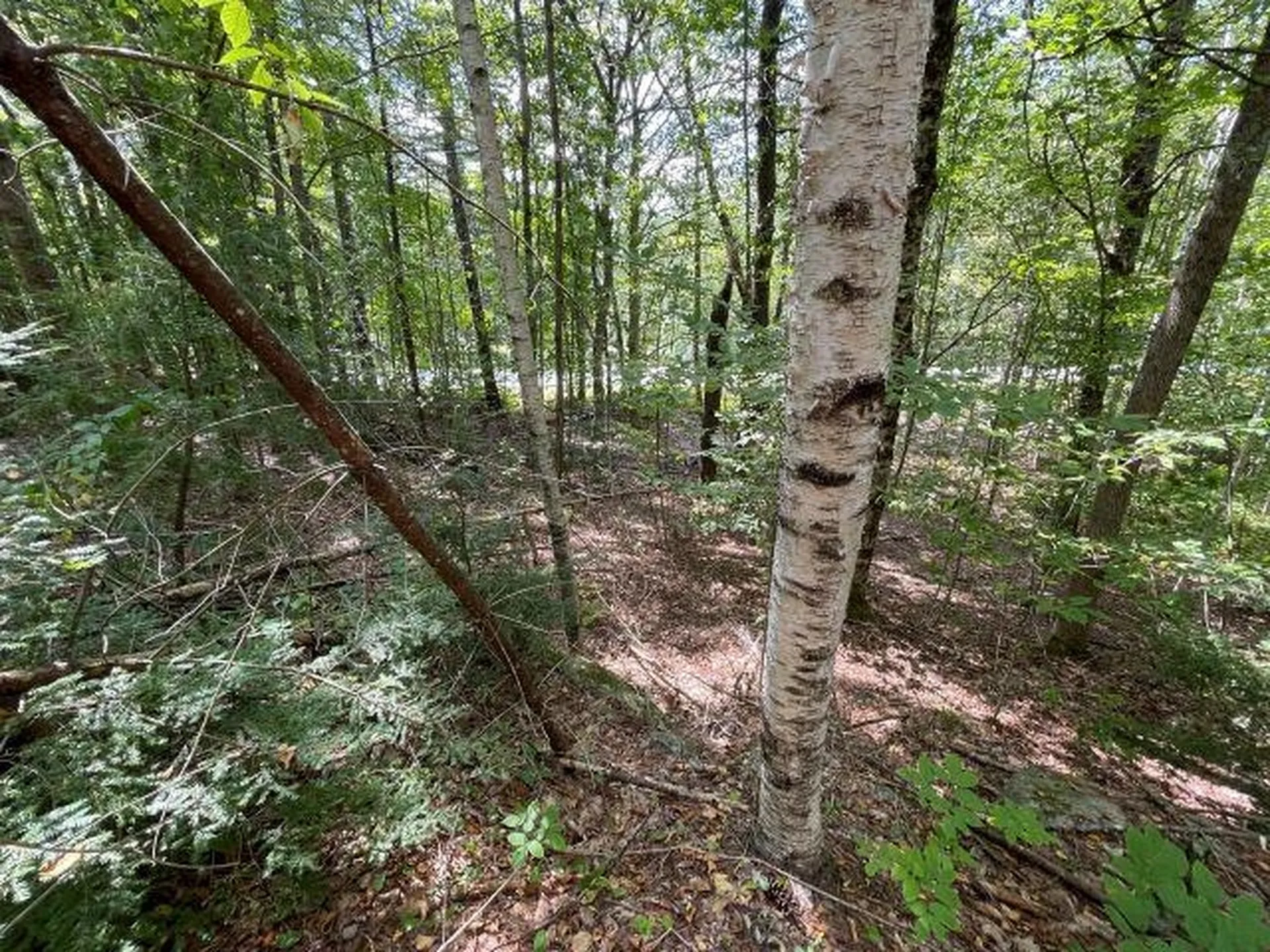 M7/l28 Stowe Mountain Road Hillsborough NH 03244