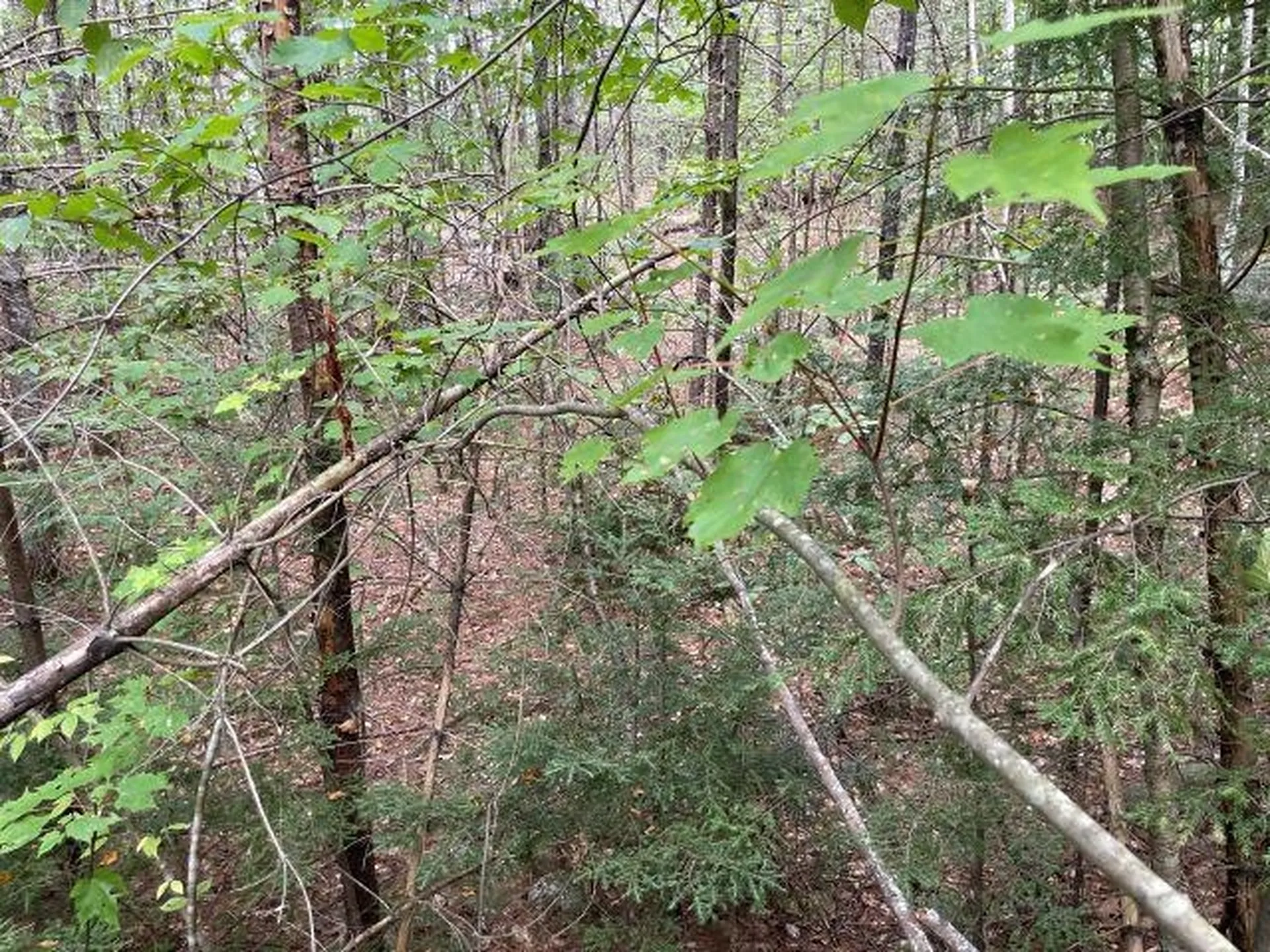 M7/L28 Stowe Mountain Road Hillsborough NH 03244