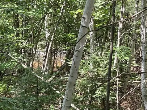 M7/l28 Stowe Mountain Road Hillsborough NH 03244