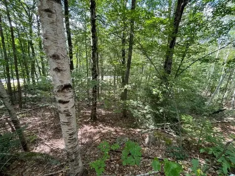 M7/l28 Stowe Mountain Road Hillsborough NH 03244