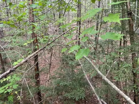 M7/L28 Stowe Mountain Road Hillsborough NH 03244