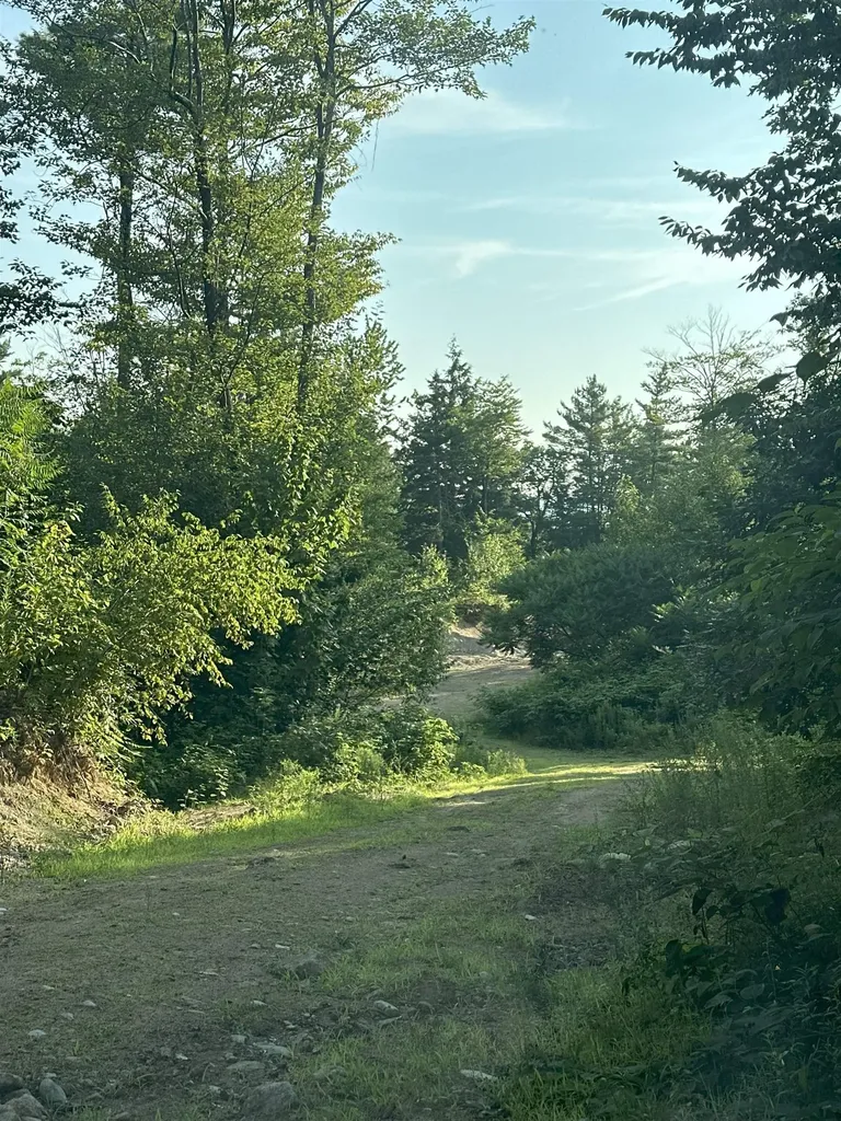 31 Pinder Mill Road Ossipee NH 03814