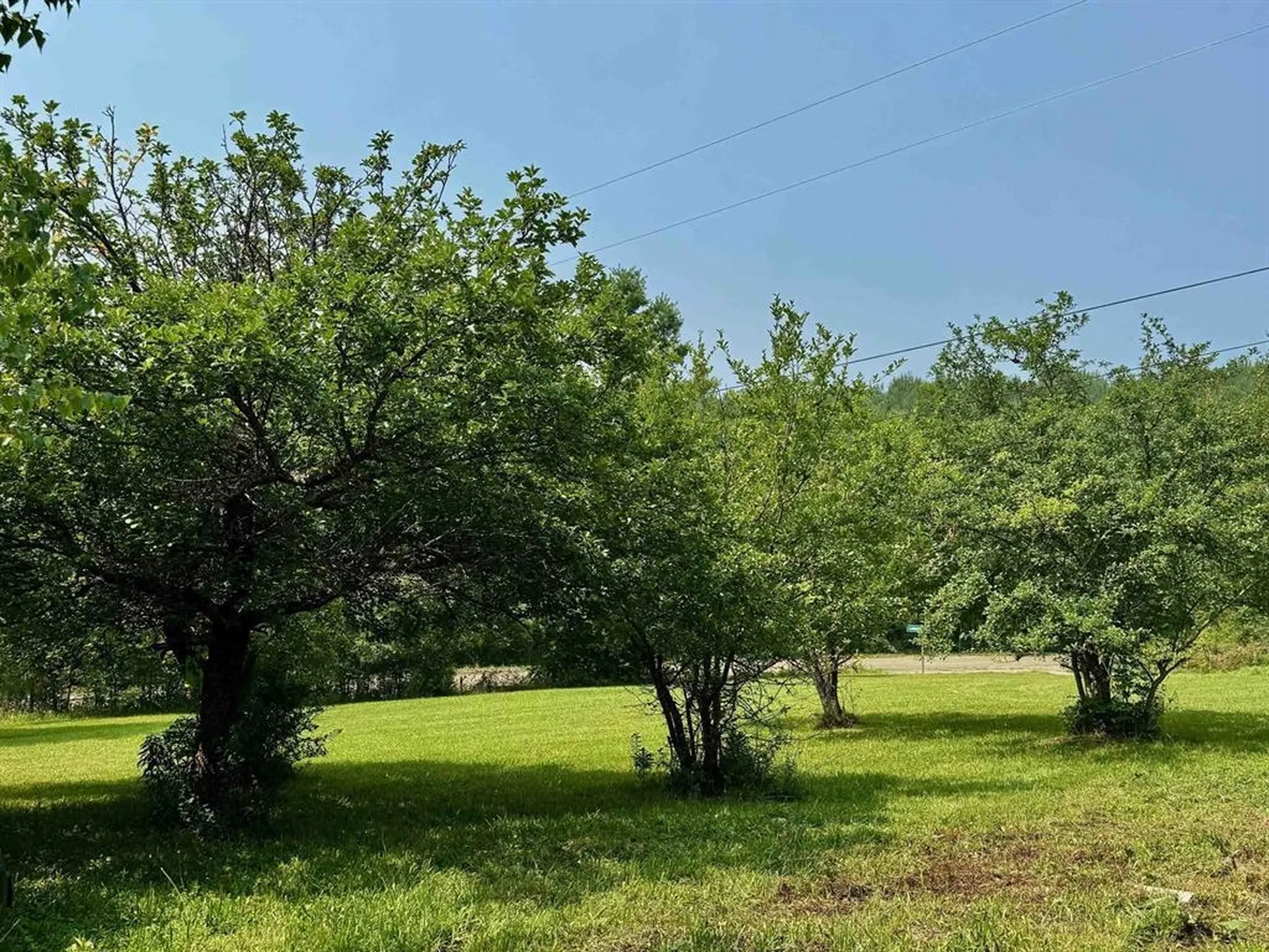 68 Blueberry Drive Wolcott VT 05680