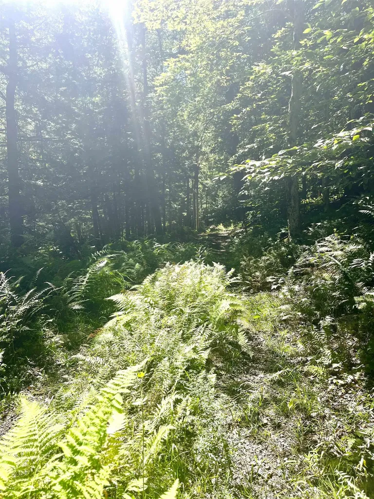 826 Bousquet Road Lowell VT 05847