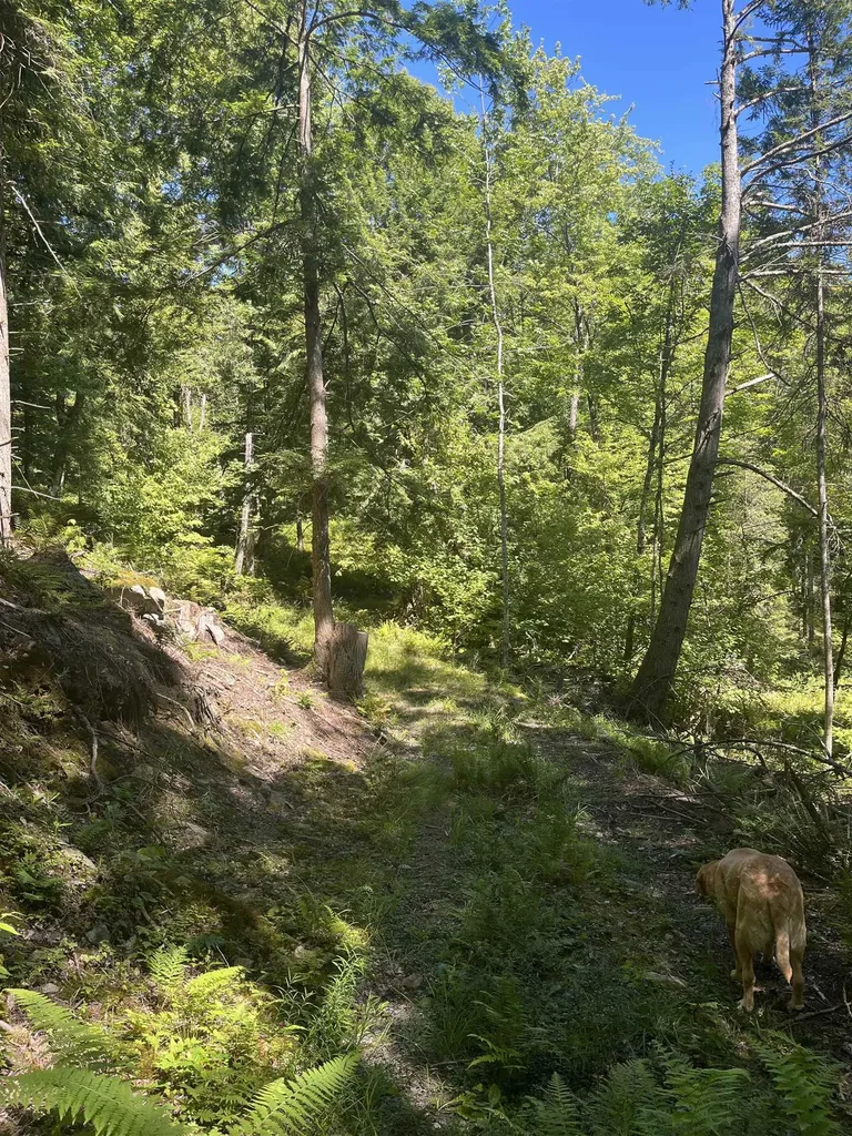 826 Bousquet Road Lowell VT 05847