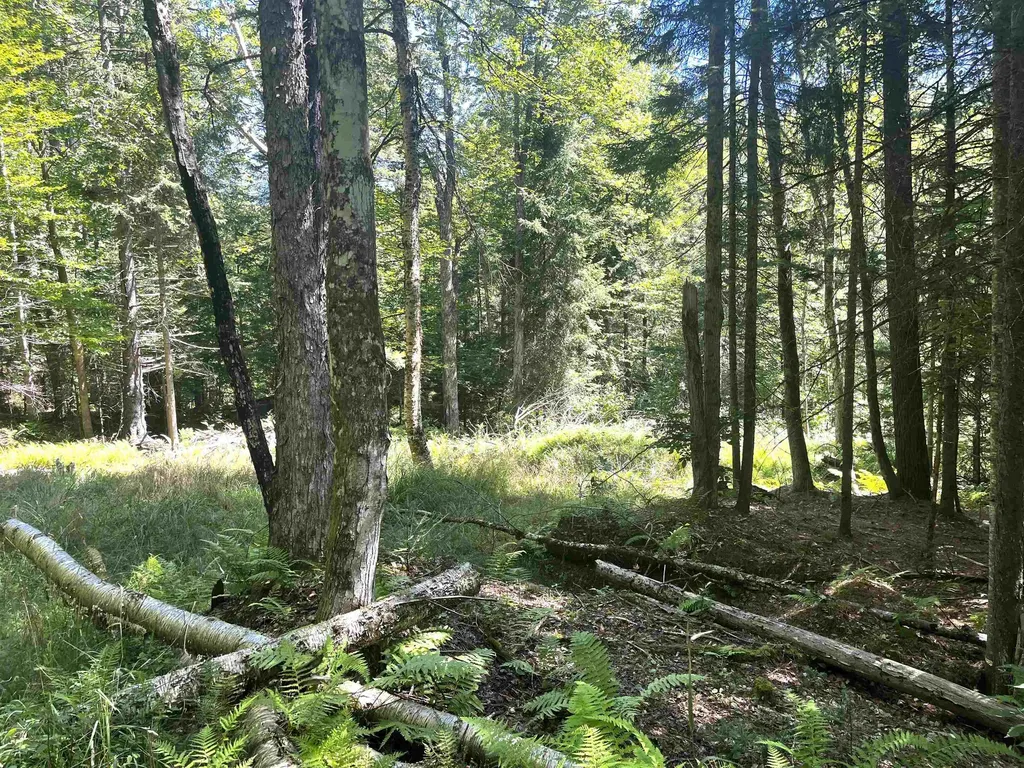 826 Bousquet Road Lowell VT 05847