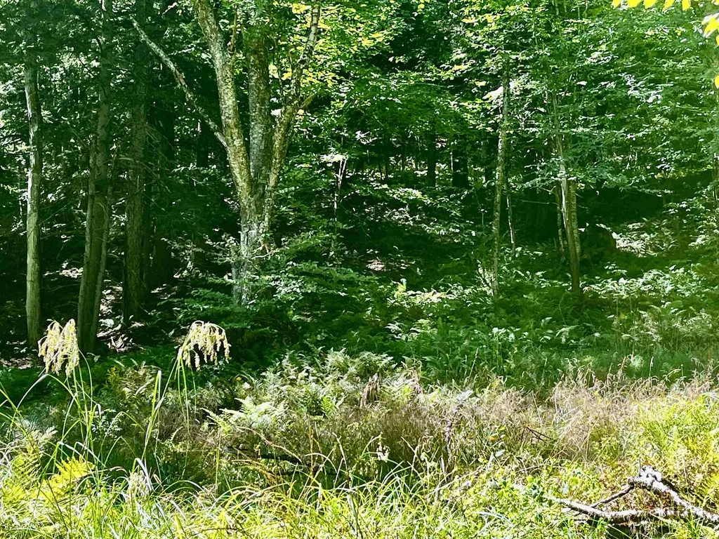 826 Bousquet Road Lowell VT 05847