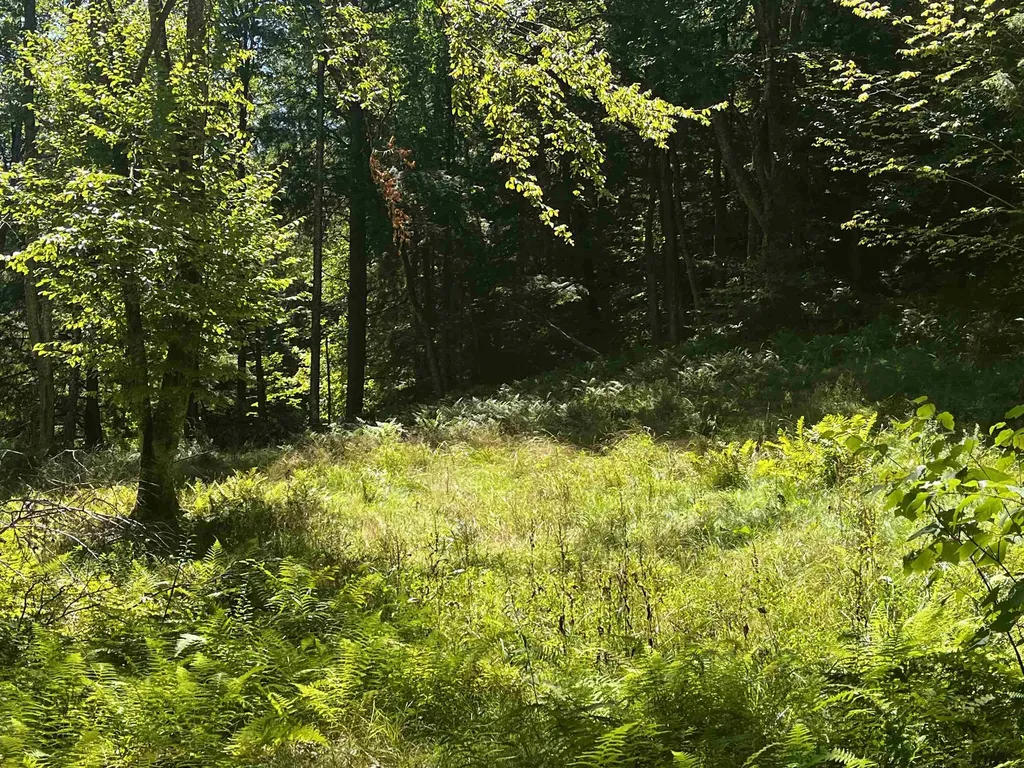 826 Bousquet Road Lowell VT 05847