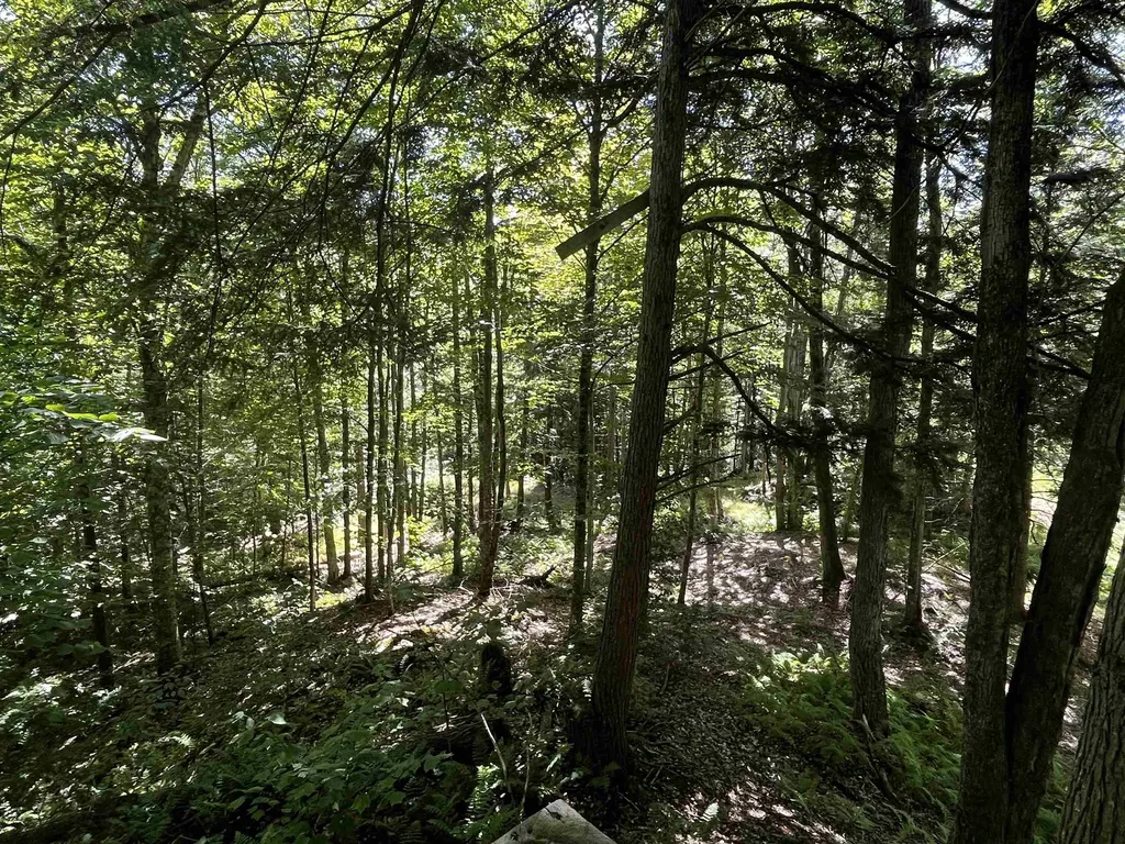 826 Bousquet Road Lowell VT 05847