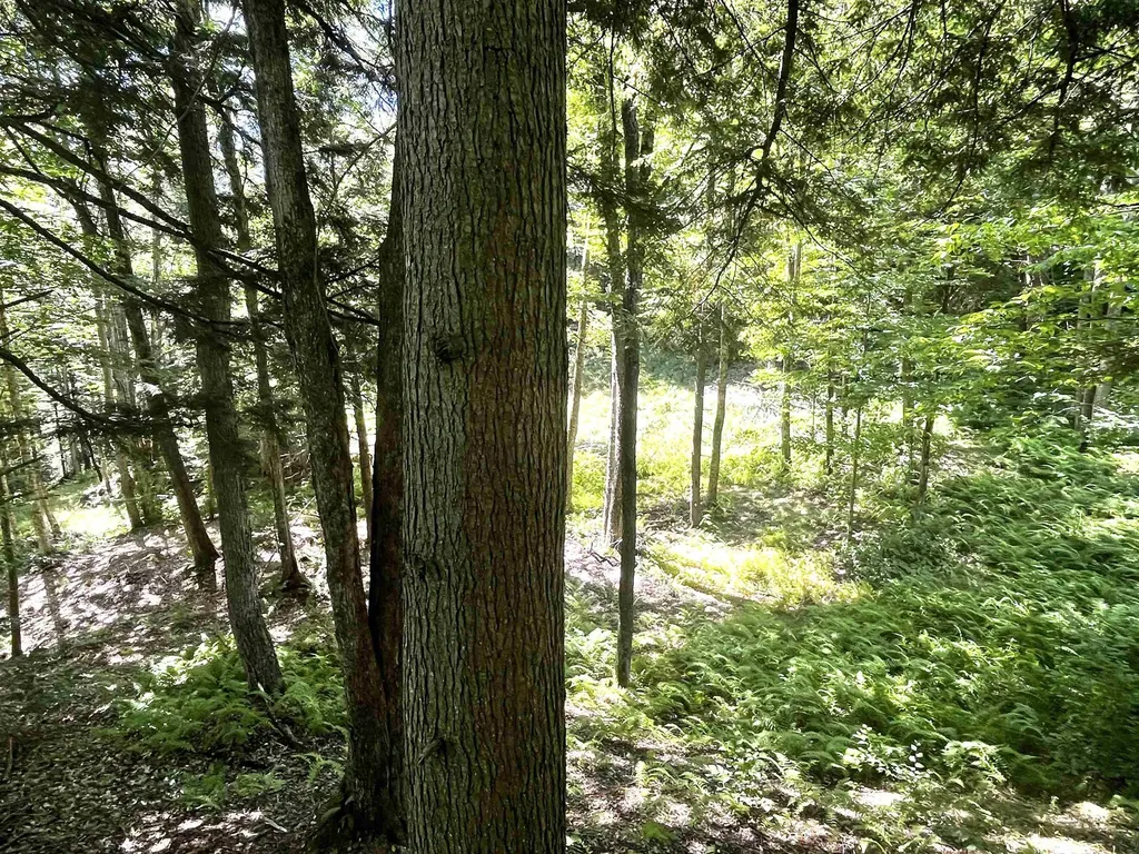 826 Bousquet Road Lowell VT 05847