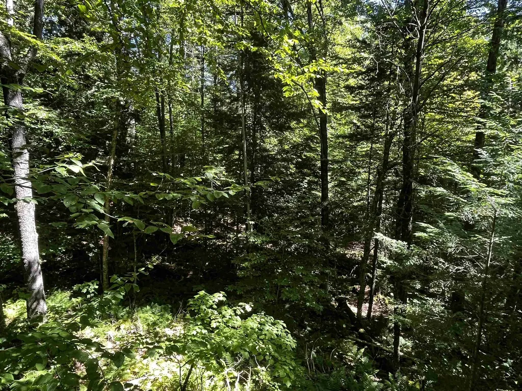 826 Bousquet Road Lowell VT 05847