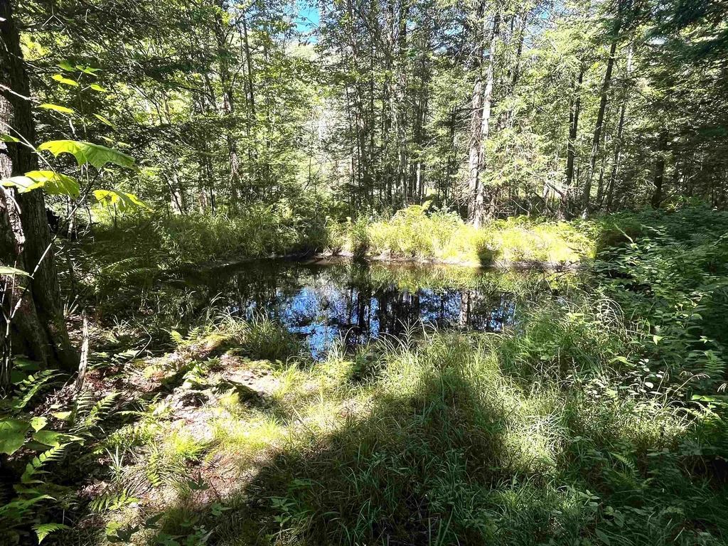 826 Bousquet Road Lowell VT 05847