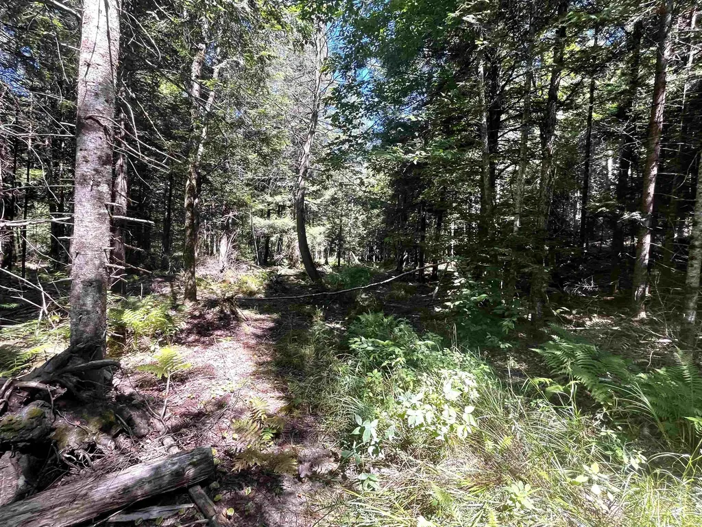 826 Bousquet Road Lowell VT 05847