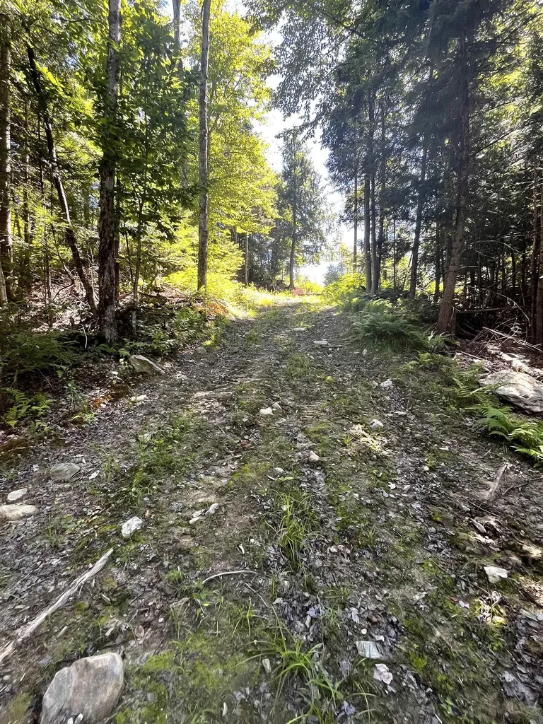 826 Bousquet Road Lowell VT 05847