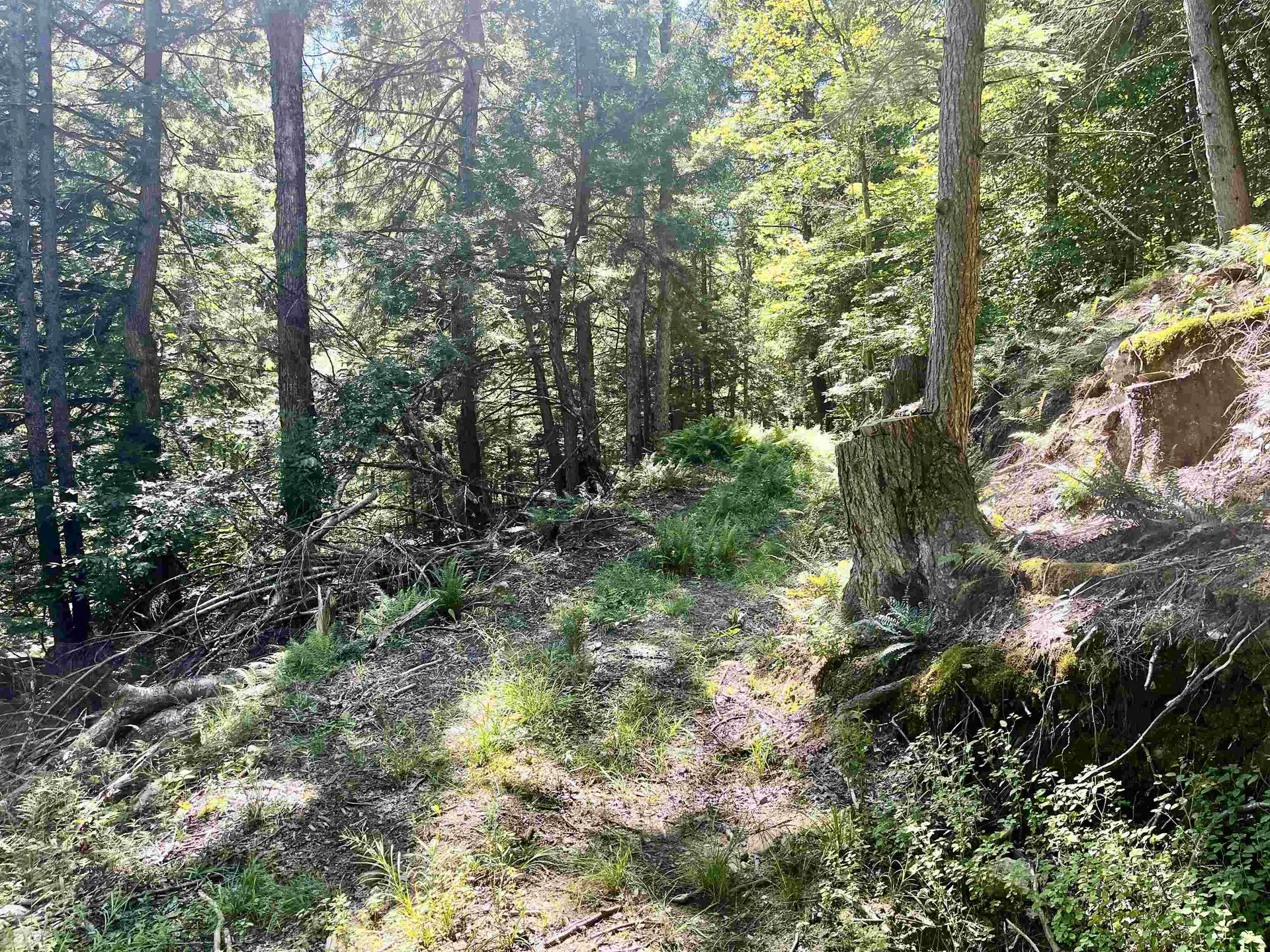 826 Bousquet Road Lowell VT 05847