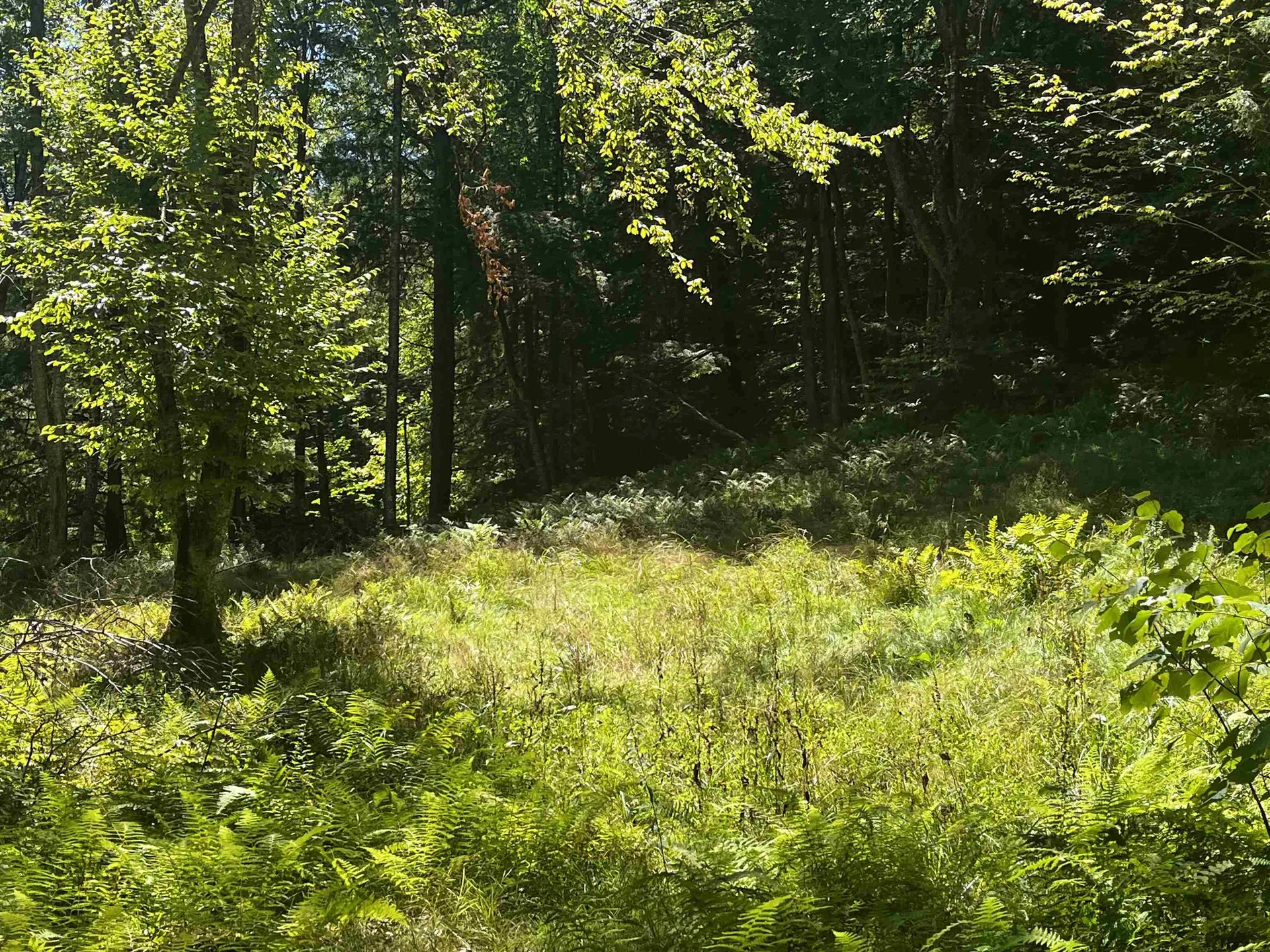 826 Bousquet Road Lowell VT 05847