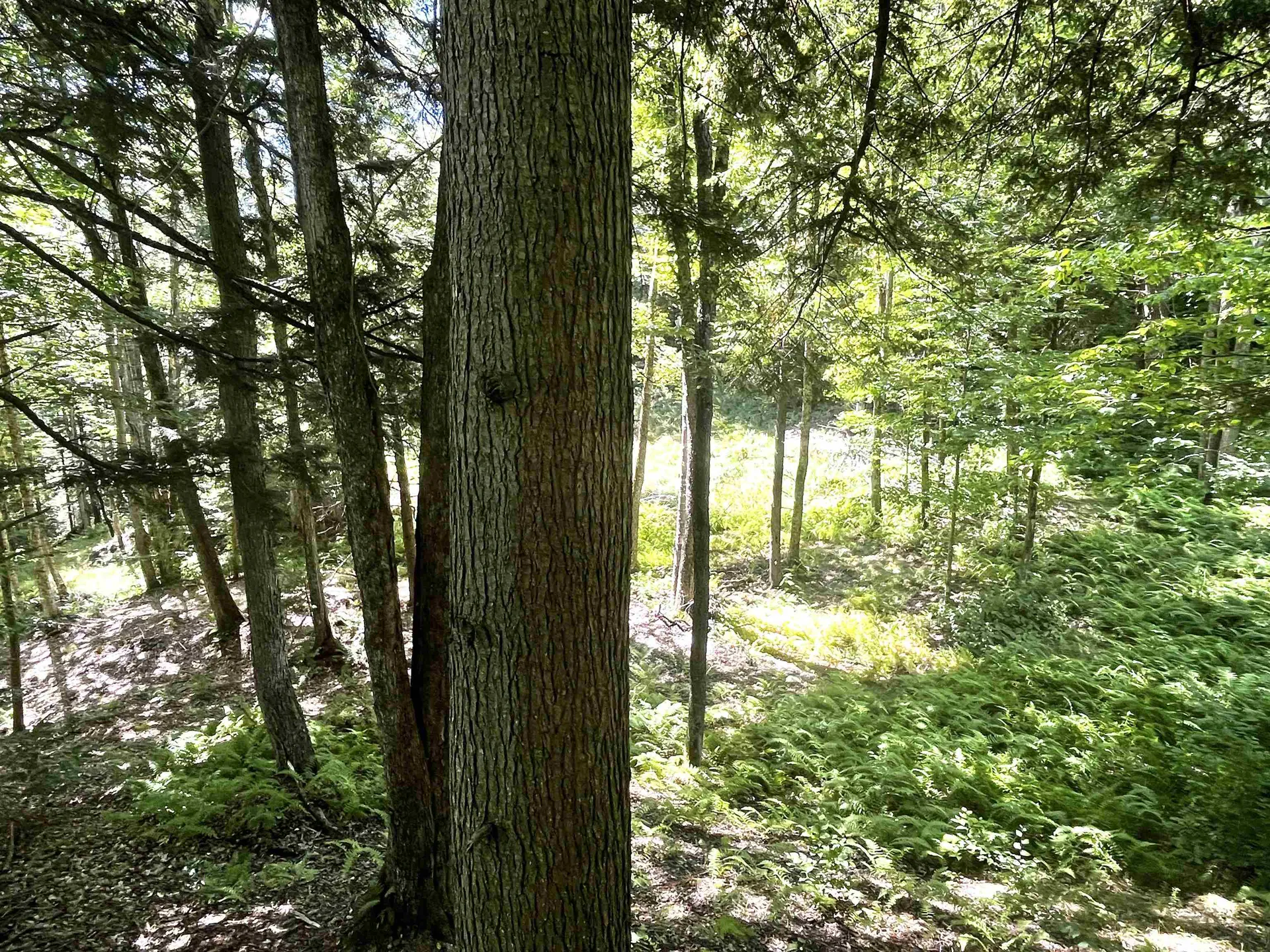 826 Bousquet Road Lowell VT 05847